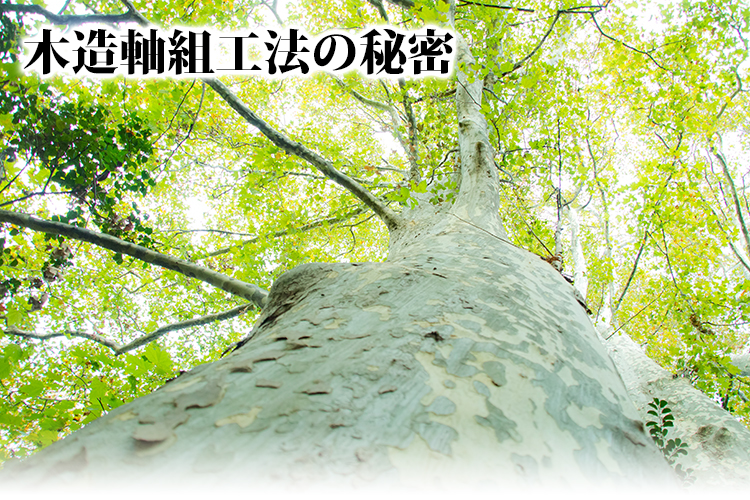 木造軸組工法の秘密